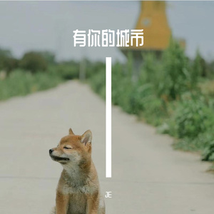 在你的城市 无水印 MIX