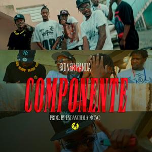 COMPONENTE (BlokeActivoRD Urbano)