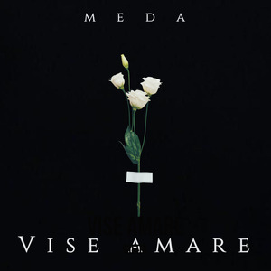Vise Amare