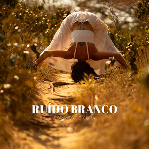 Ruído Dotado