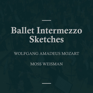 Ballet Intermezzo Sketches, K. 299: Allegro agitato