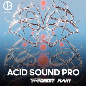 ACID Sound Pro Extended Mix