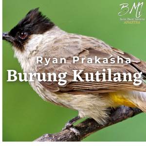 Burung Kutilang