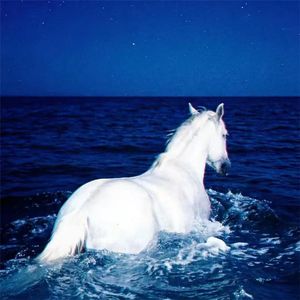 Satisfaction (人机进行曲)