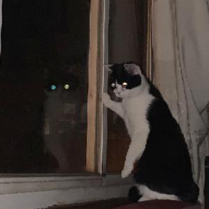 人间失了火[prod by FRESH_ye]