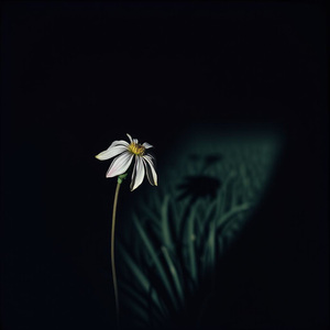 Tu Sigues, Yo Me Quedo