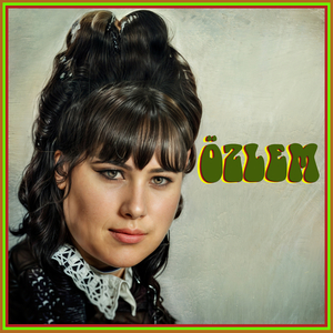 Bursanın Ufak Tefek Taşları