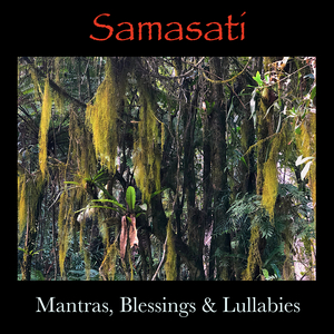 Om Ah Hum Vajra Guru Padma Siddhi Hum (Purification Mantra)