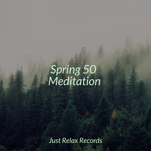 Golden Hues of Fantasy