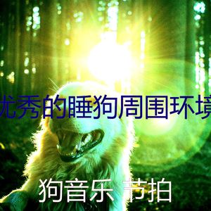 安静的训练你的狗声音