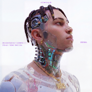 SURECHIGAI (feat. Emi Meyer) [REMIX]