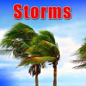 Very Strong Blowing Gusts from a Violent Wind Storm