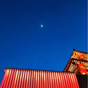 风华醉长安