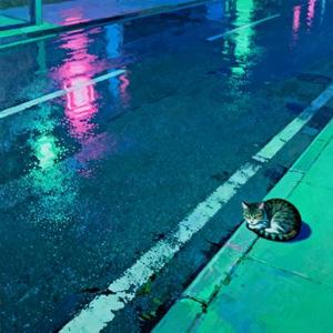 归途猫语