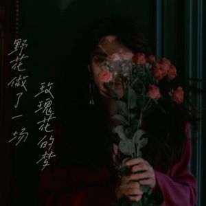 野花做了一场玫瑰花的梦 伴奏