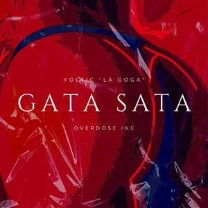 Gata Sata