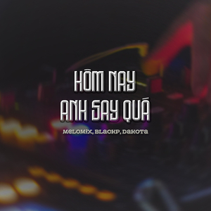 Hôm Nay Anh Say Quá