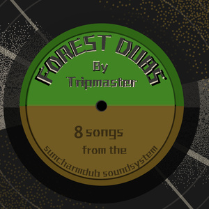 Heavy Wood Steppa Dub