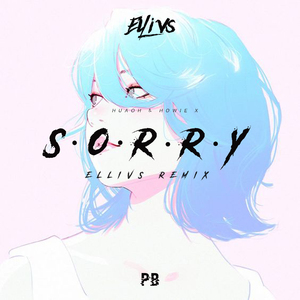 HuaoH-SORRY（Ellivs remix）