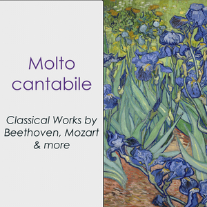 The Sleeping Beauty, Suite, Op. 66a, TH 234:5. Valse