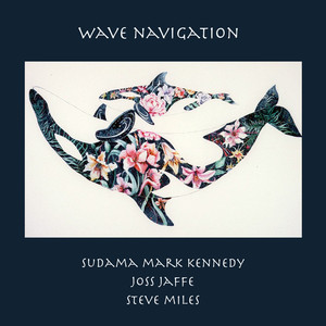 Wave Navigation