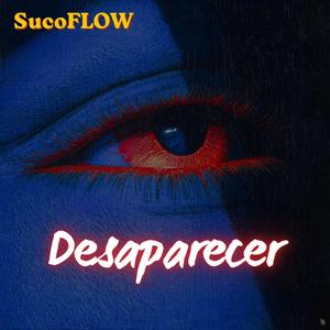 Desaparecer