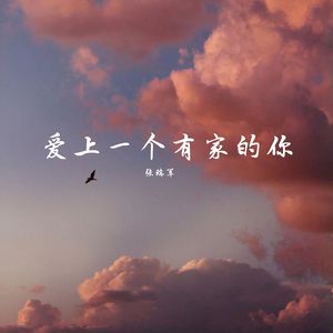 爱上一个有家的你