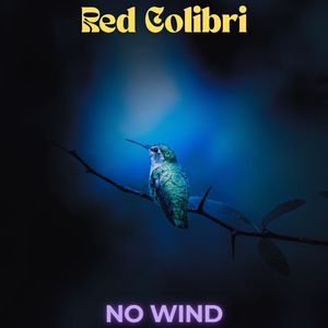 No Wind