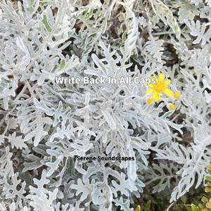 Weekend Update Joke Swap