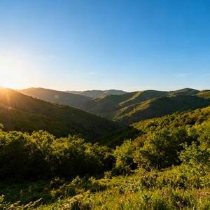 爱意无声DJ (Cover DJ大梦儿)