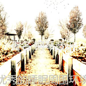 温和咖啡店梦想