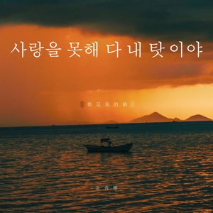 都是我的错（사랑을 못해 다 내 탓이야）