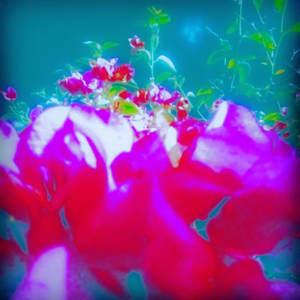 Stars/Berry Fields (2021 Remastered)