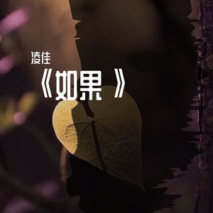 如果-凌佳