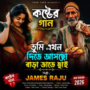 বাড়া ভাতে ছাই