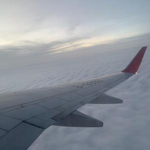 翱翔（cover：20XX）