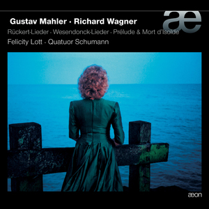Rückert Lieder: Um Mitternacht