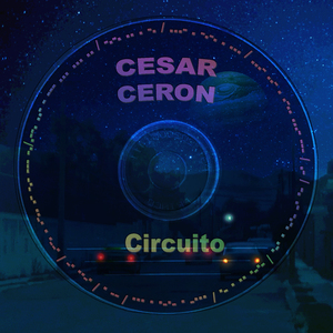 Circuito