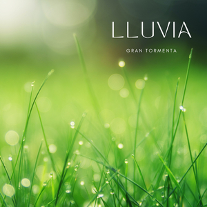 Lluvia Para La Relajación Antes De Dormir