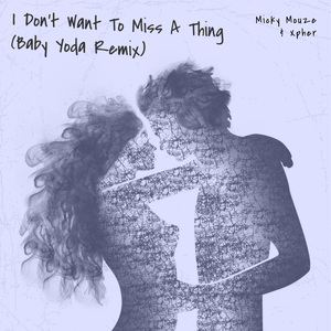 I Don't Want To Miss A Thing (Instrumental Mix)