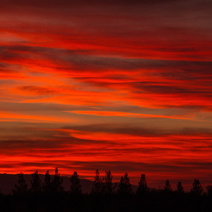 Sleep Walking (Freestyle)