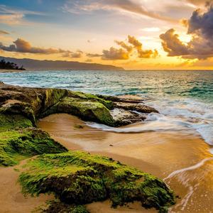 努力去达到大家对你的期待