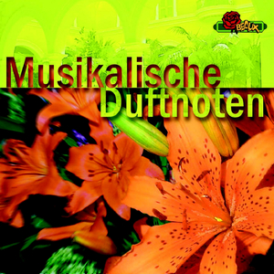 String Quartet No.2 in D Major : III. Notturno, Andante