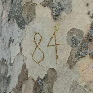 84 (goodnight)