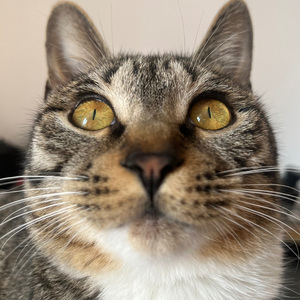 很有魄力！但很可惜 :-D