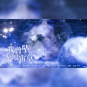 我曾坠无垠宙章