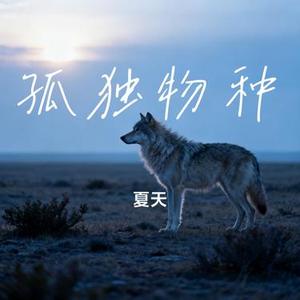 孤独物种 (Cover 尹昔眠)