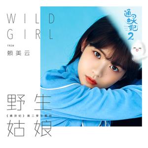 野生姑娘 (伴奏)