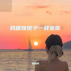 我曾像傻子一样爱你(MIX)