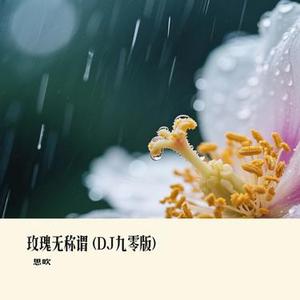 玫瑰无称谓 (Remix)